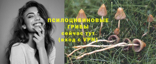герыч Снежинск