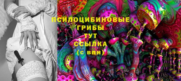 герыч Снежинск